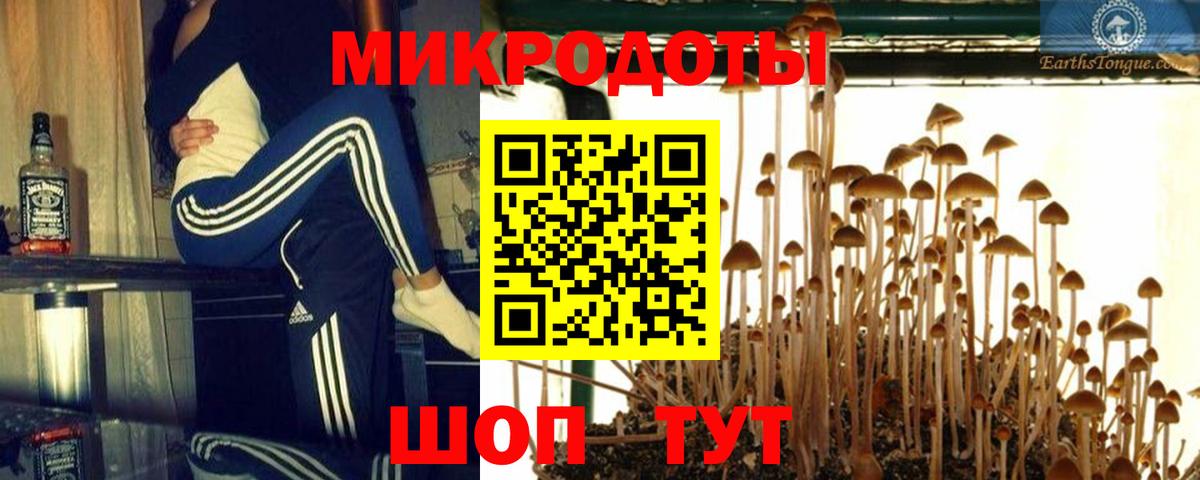 Псилоцибиновые грибы Magic Shrooms  Вход с VPN  Пенза 