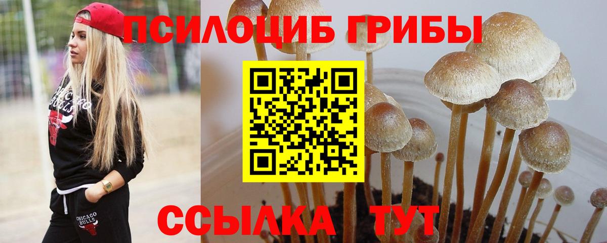 Галлюциногенные грибы GOLDEN TEACHER Пенза